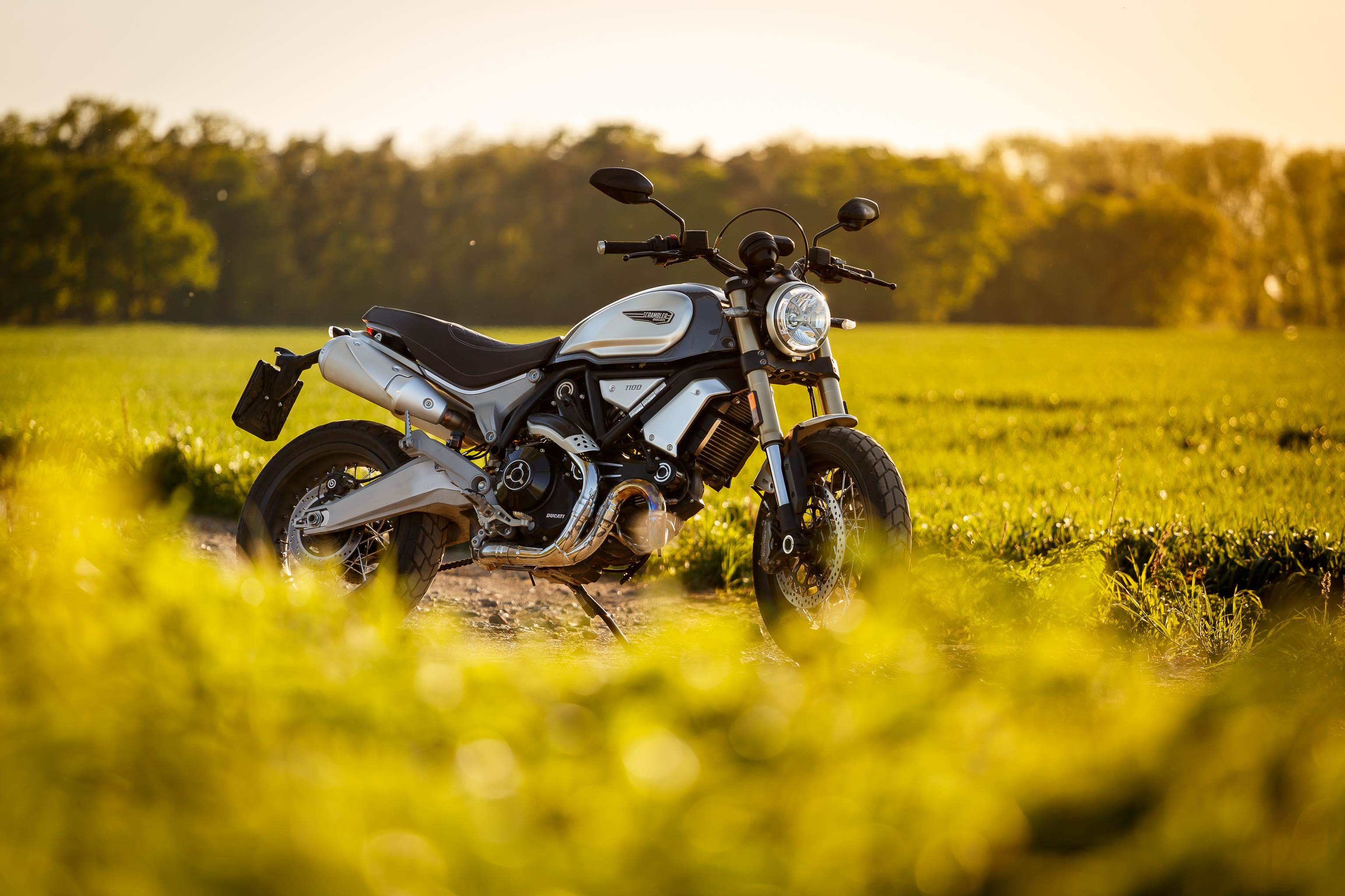 Photo: Ducati Scrambler 1100